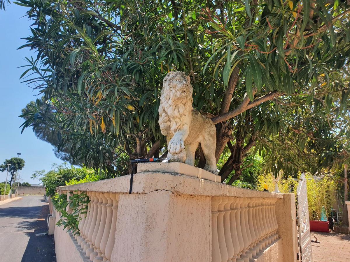 Villa Les Palmiers -Stretta Di I Mandarini Lucciana  Buitenkant foto