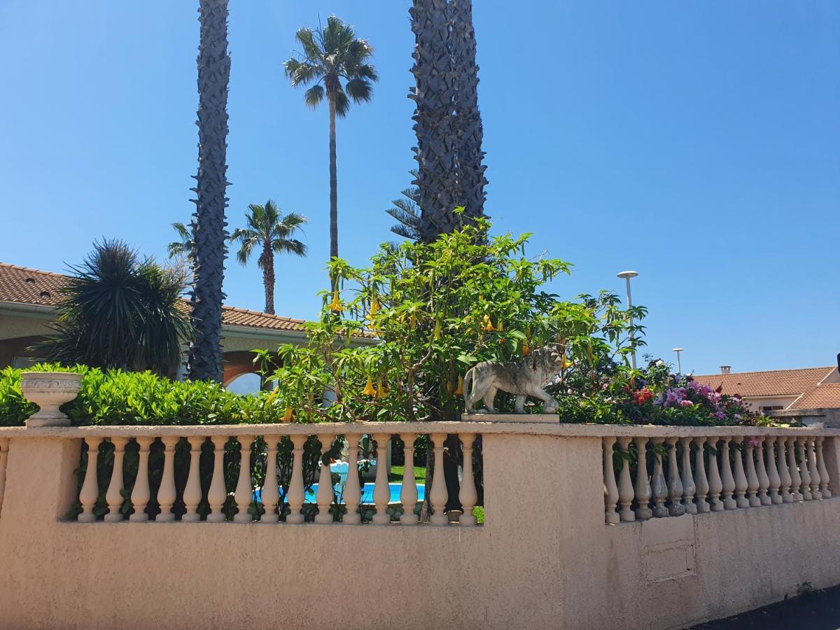 Villa Les Palmiers -Stretta Di I Mandarini Lucciana  Buitenkant foto