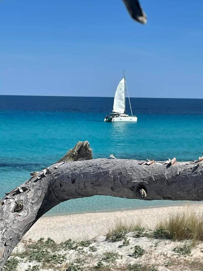Villa Les Palmiers -Stretta Di I Mandarini Lucciana  Buitenkant foto