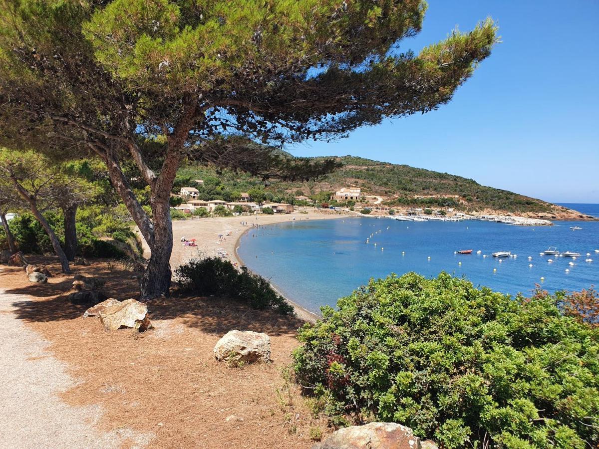 Villa Les Palmiers -Stretta Di I Mandarini Lucciana  Buitenkant foto