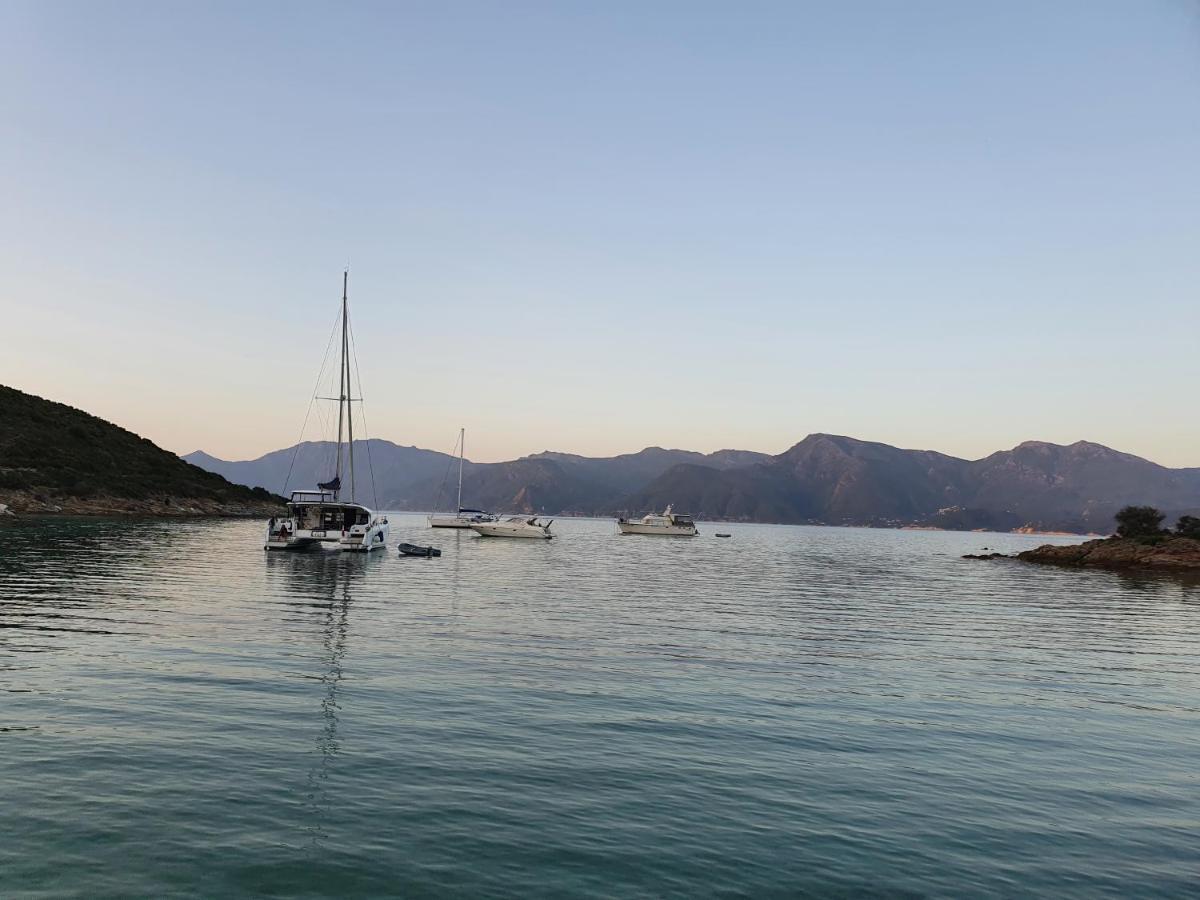 Villa Les Palmiers -Stretta Di I Mandarini Lucciana  Buitenkant foto